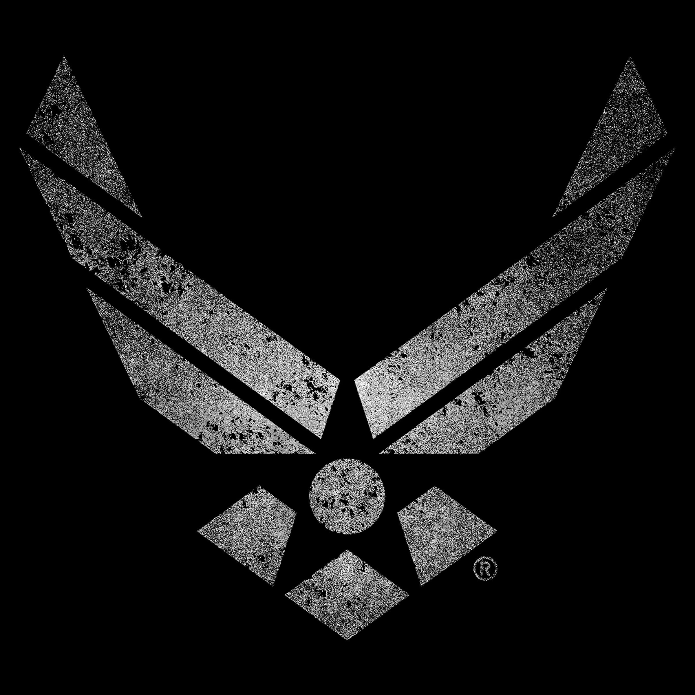 Black Air Force t shirt battleworn wings distressed Air Force logo tee military apparel USAF shirt veteran gift. Vintage Air Force T-shirt. Silver Airforce t-shirt design.