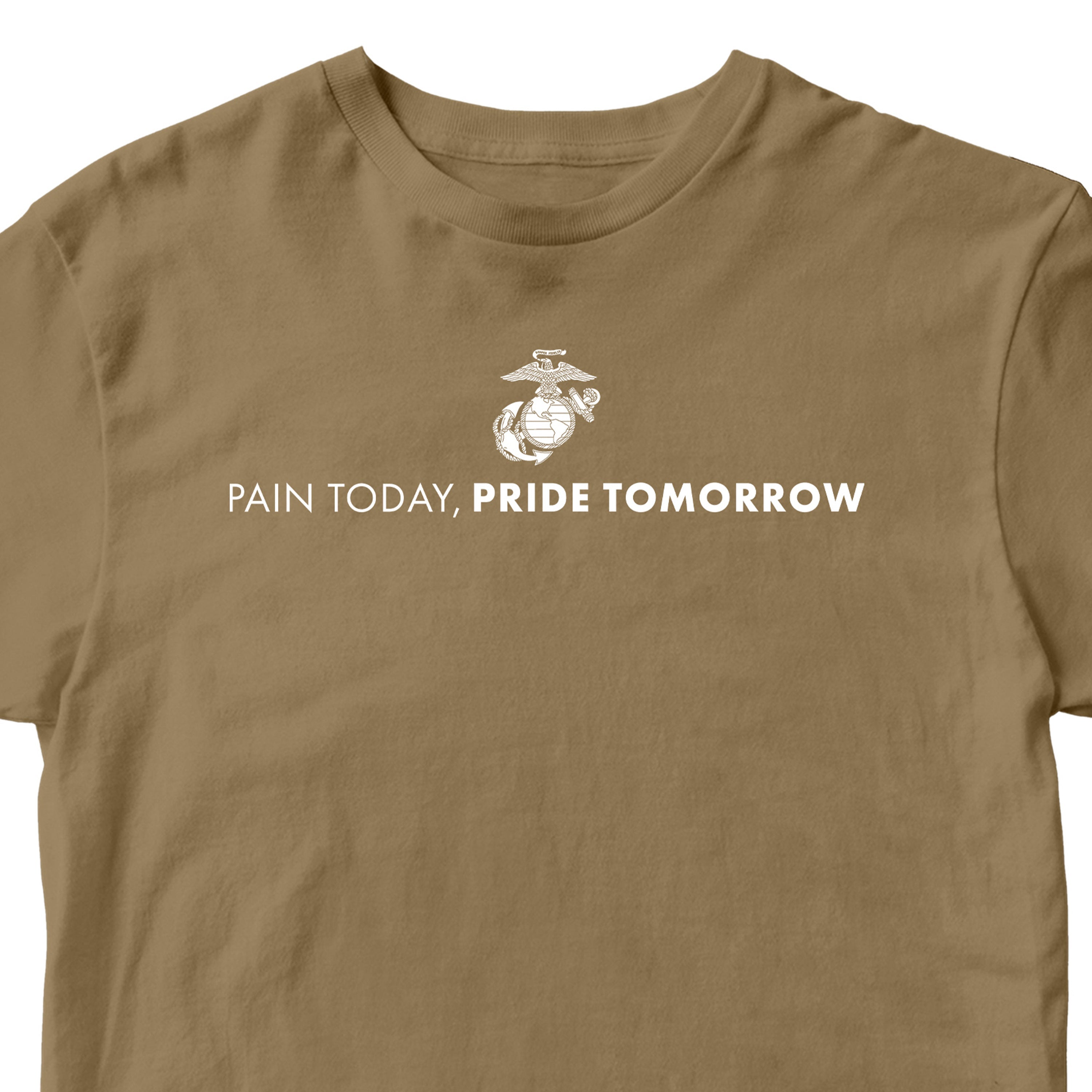 Brown USMC motivational t-shirt with Eagle, Globe, and Anchor emblem and white text reading 'Pain Today, Pride Tomorrow' – Marine Corps workout and training shirt.
