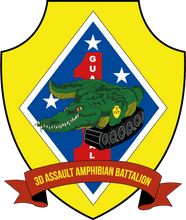 Load image into Gallery viewer, 3d Assault Amphibian Battalion Women&#39;s Unit Logo T-Shirt, 3rd AABN logo, USMC Gift ideas
