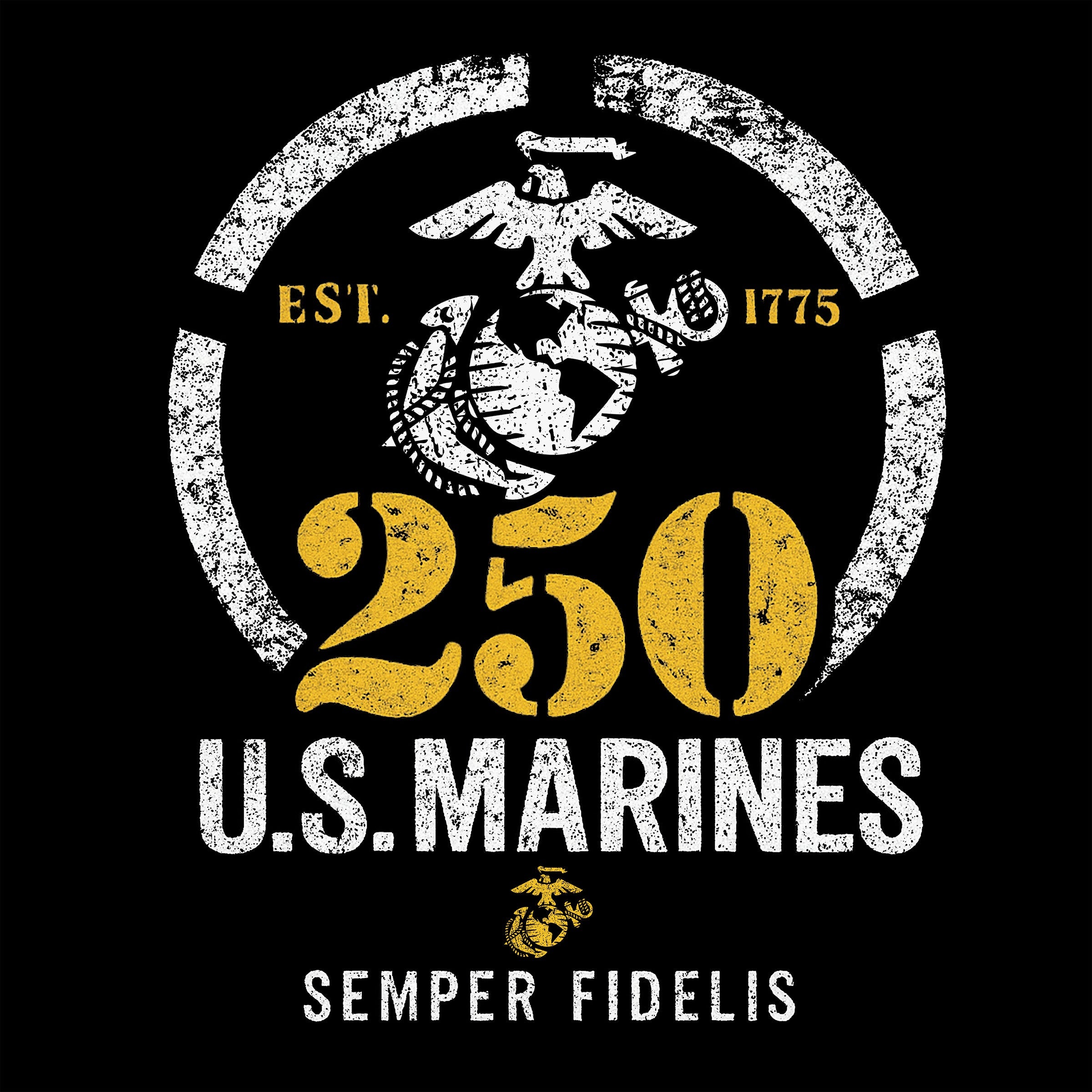Marines 250 Years Hoodie