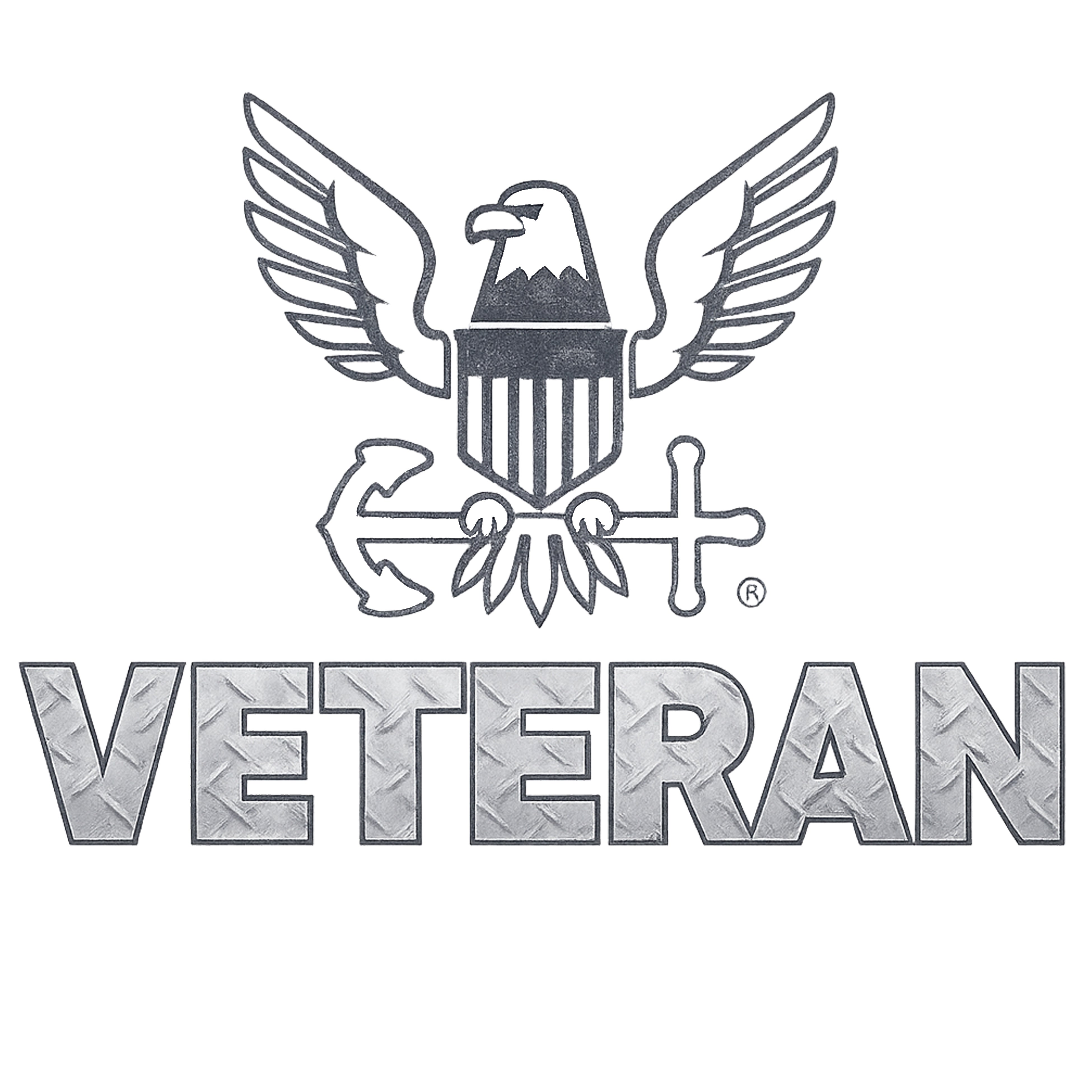 Logo with an eagle and shield design, featuring the word 'Veteran' below it on a white background.