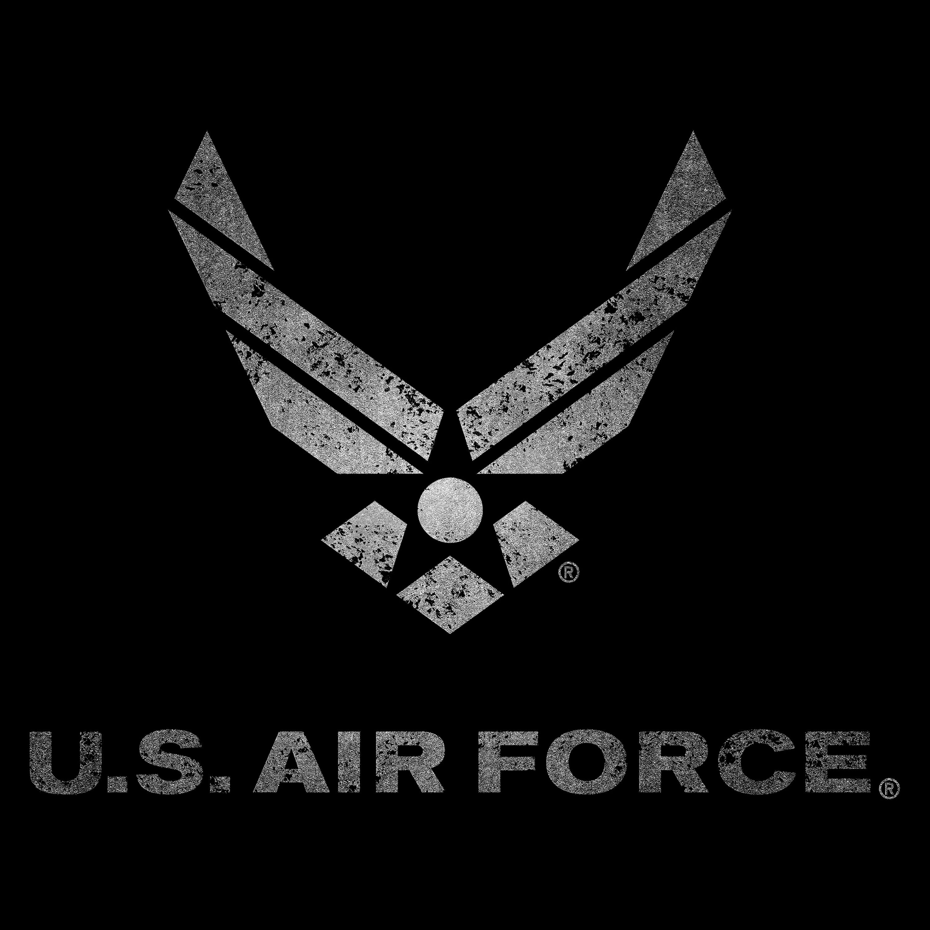distressed Air Force wings logo. Vintage Silver Airforce t-shirt design. 