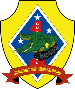 3d Assault Amphibian Battalion Women's Unit Logo T-Shirt, 3rd AABN logo, USMC Gift ideas